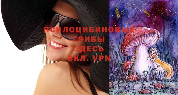 мдпв Беломорск